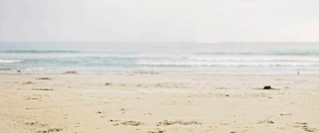 Meet Owner Juan Sandoval