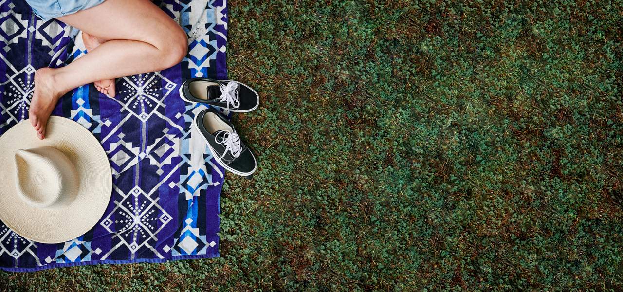 The Top 10 Nature Documentaries On Netflix