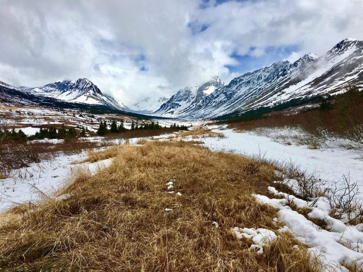 6 Tips for RVing the Alaskan Canadian Highway on a Budget