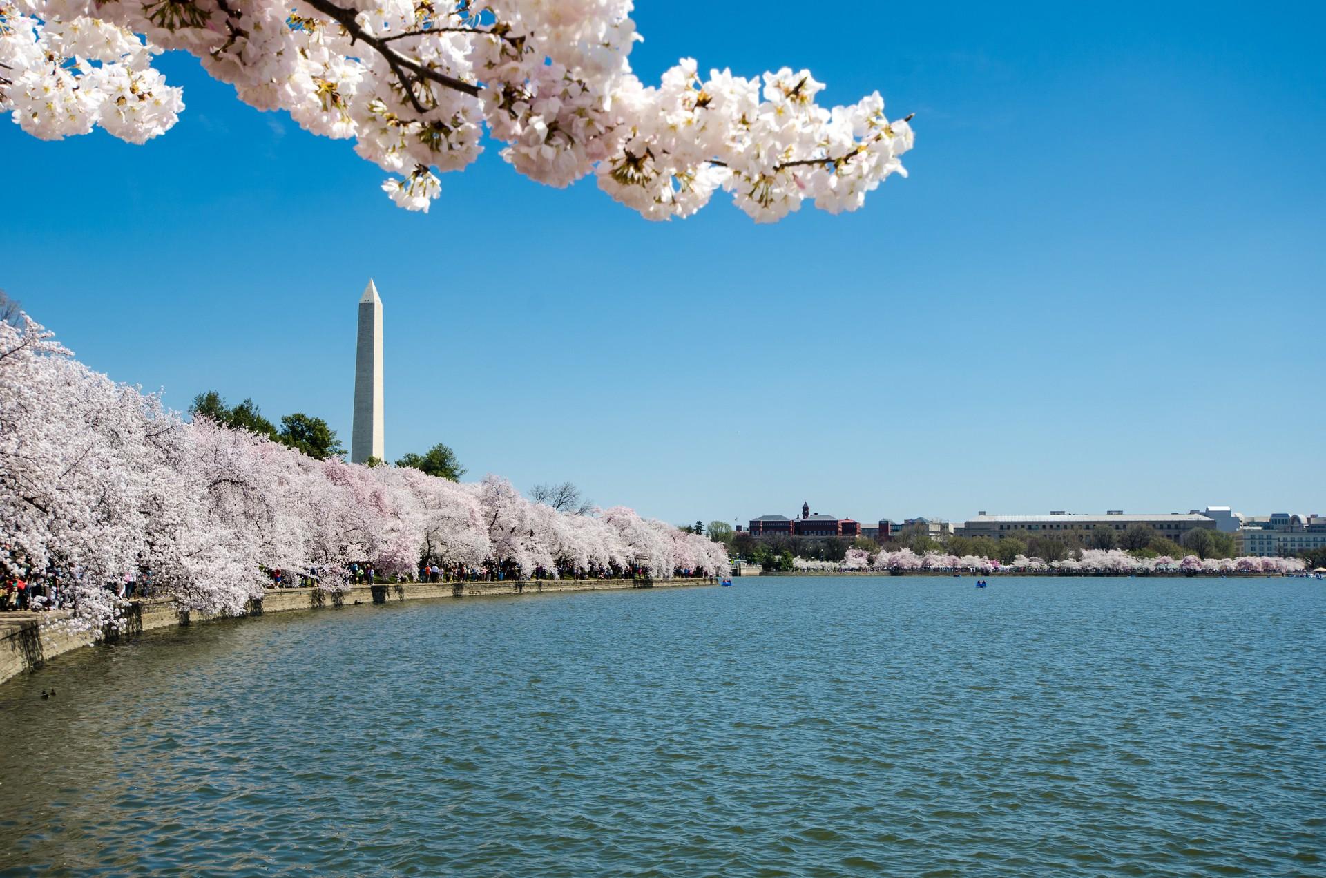 Top RV Parks & Campgrounds in District of Columbia
