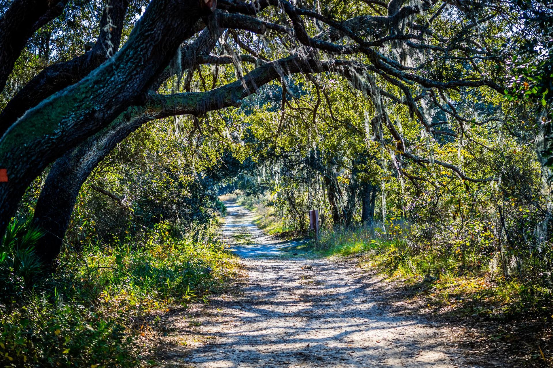 Top RV Parks & Campgrounds near Orlando, FL
