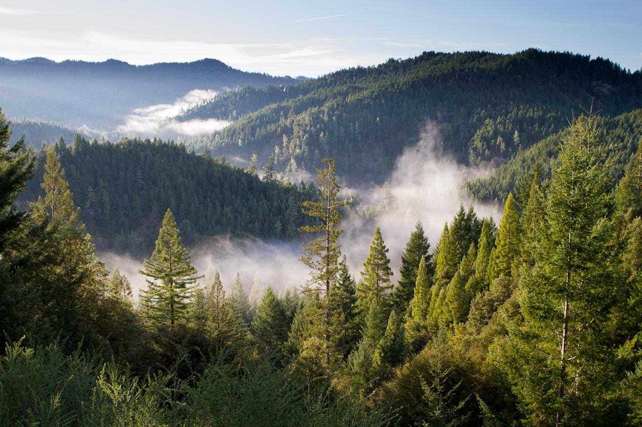RV Parks & Campgrounds near Gunnison, CO