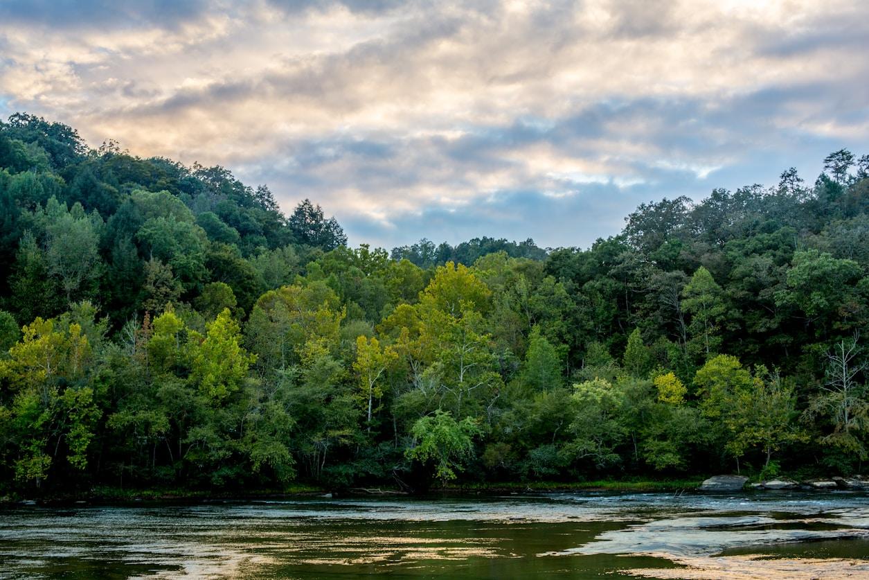 RV Parks & Campgrounds near Lake Cumberland State Park, KY