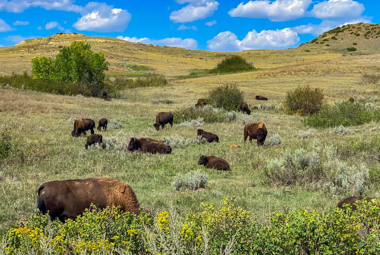 RV Parks & Campgrounds near Litchville, ND