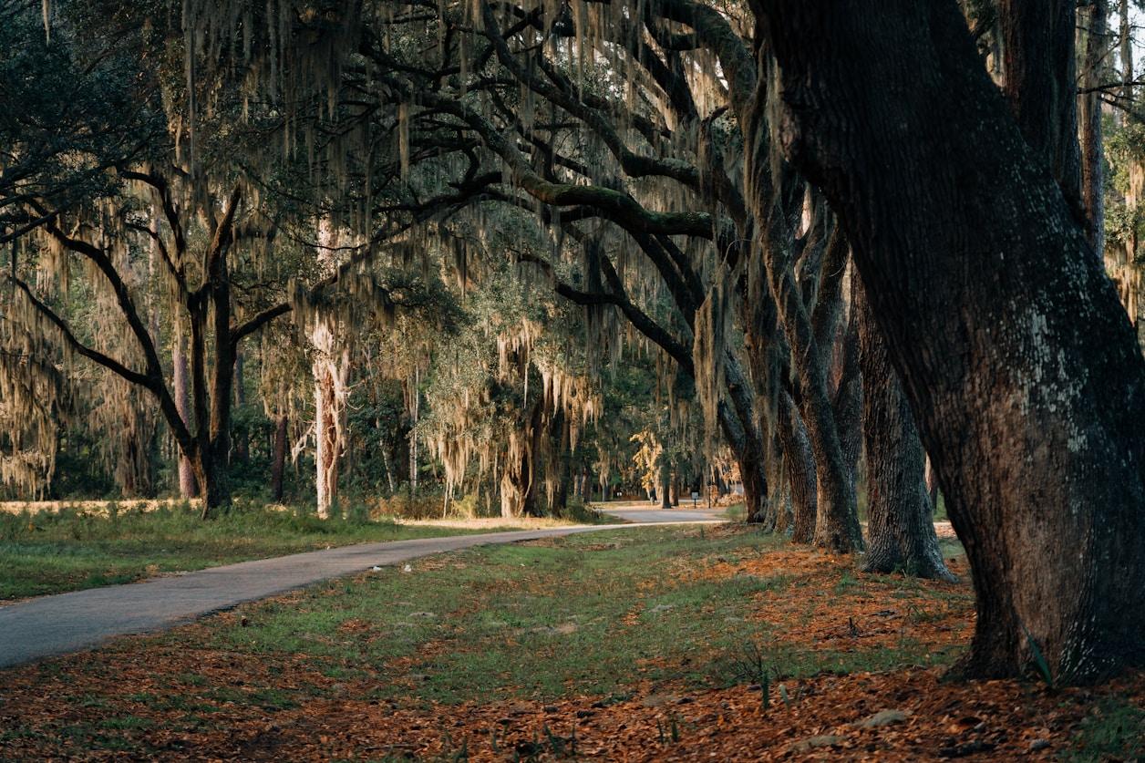 RV Parks & Campgrounds near Myrtle Beach, SC
