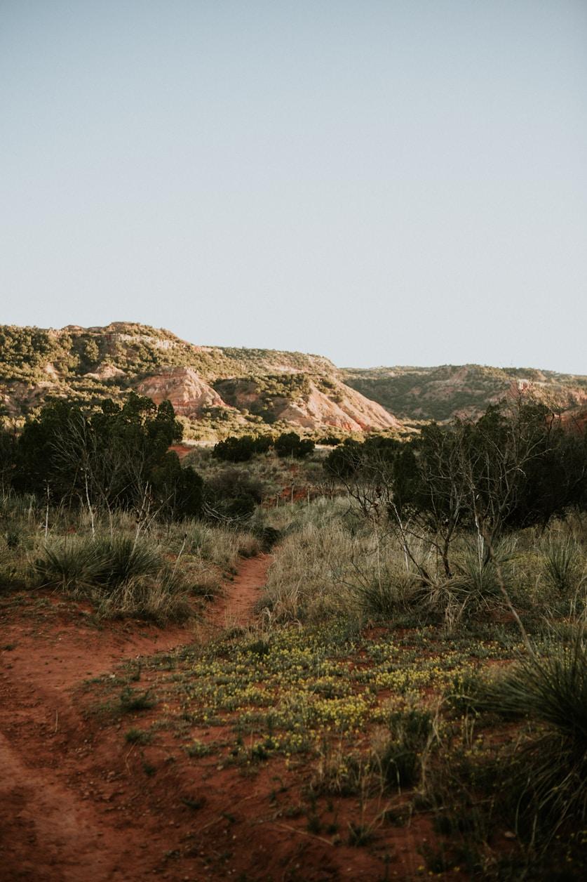 Top RV Parks & Campgrounds near Lubbock, TX