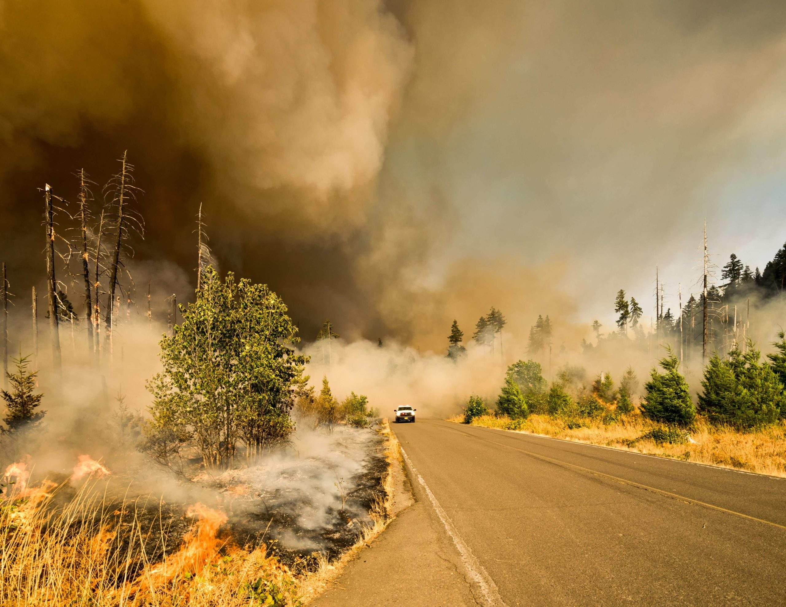 Wildfire safety refresh presented by The Trust For Public Land