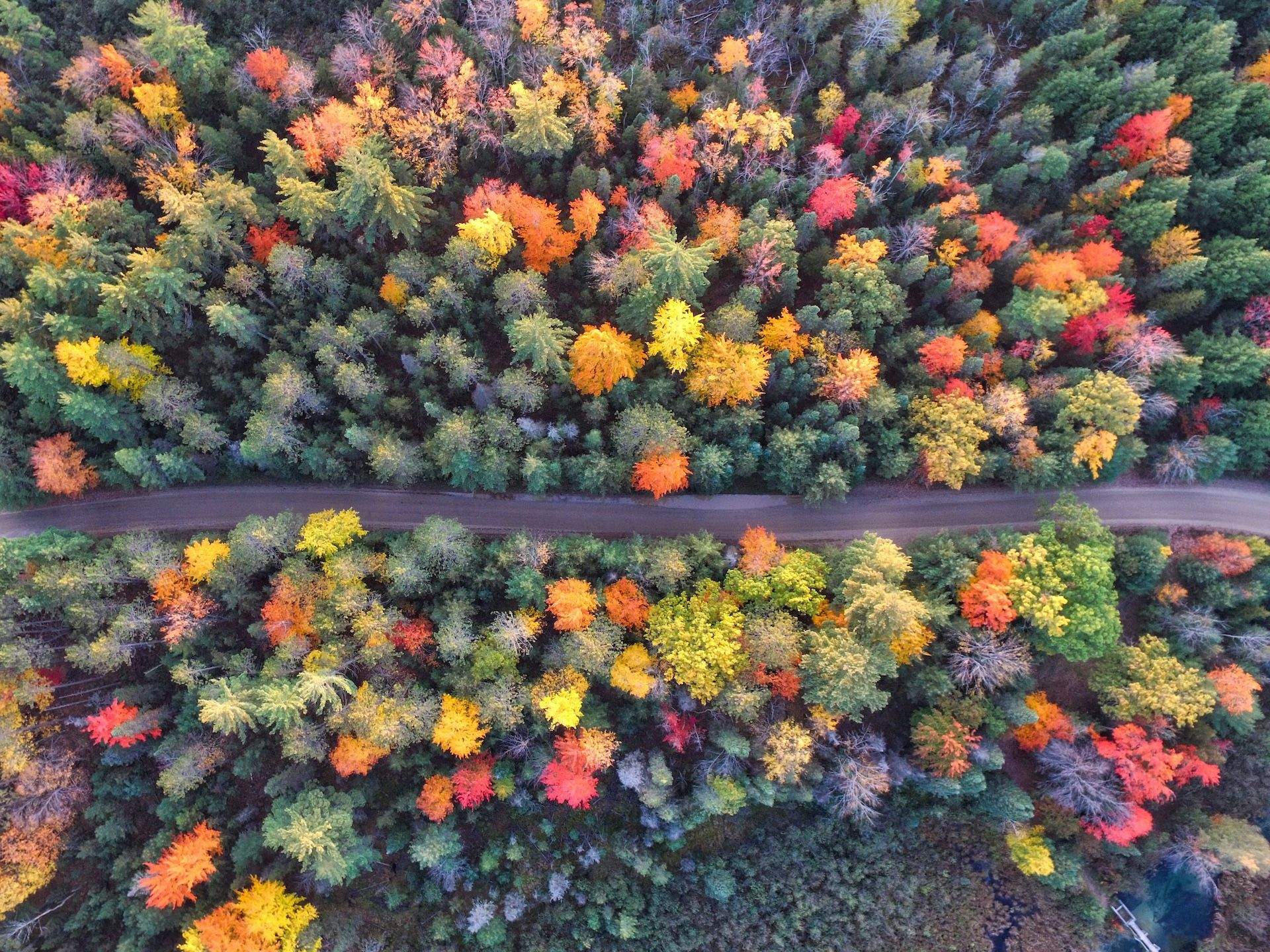 Road Trip Itineraries to Favorite Fall Movie Locations