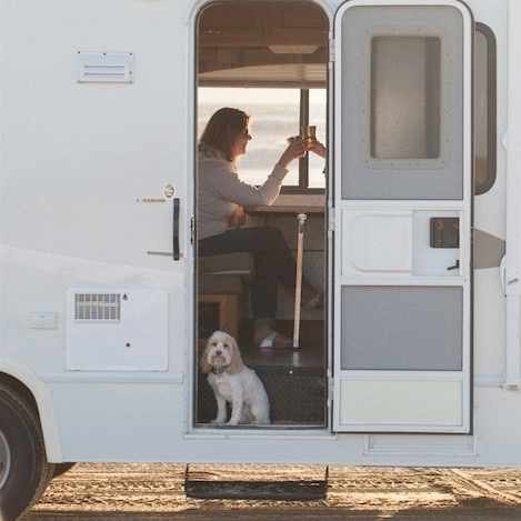 Road Tripping with Pets: What You Should Know