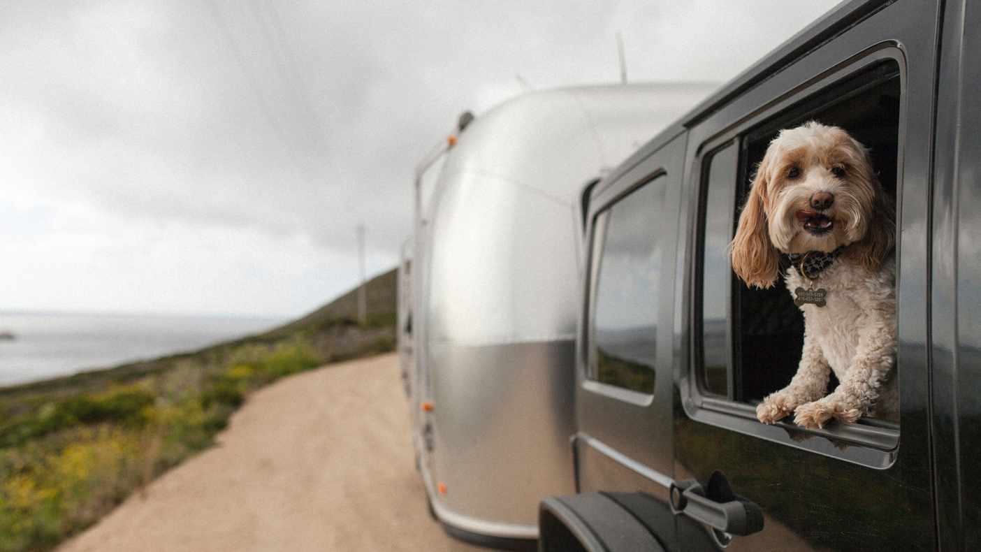 Top 10 RV Trip Destinations for You and Your Pet in Texas