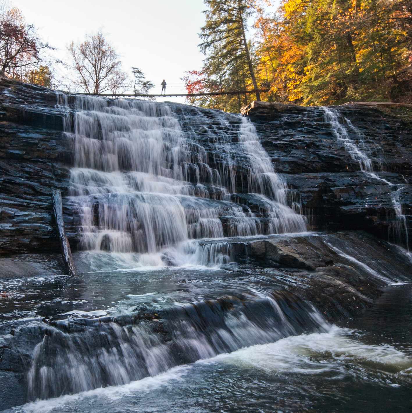Fall in love with Fall Creek Falls