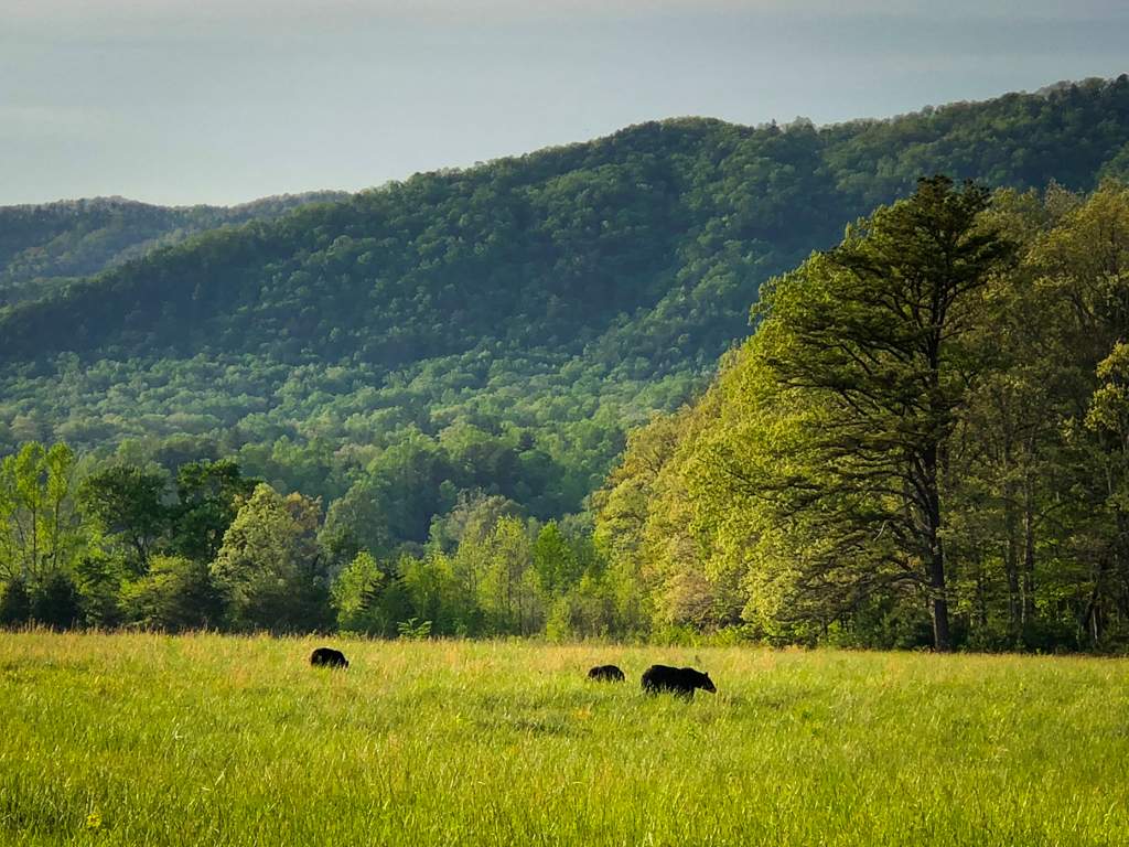 Top 5 National Parks East of the Mississippi