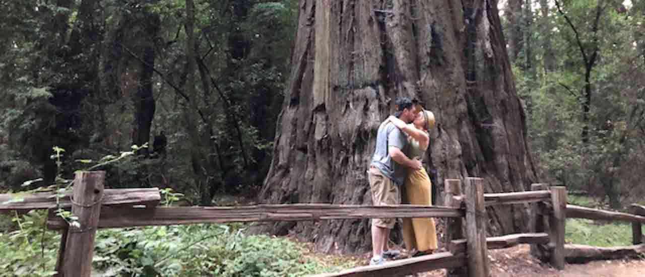 Outdoorsy Renters Get Engaged Among the California Redwoods
