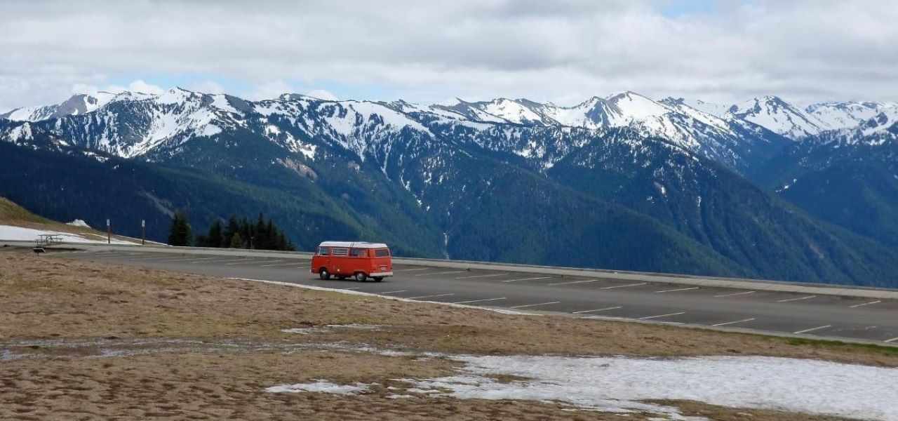 How to support Olympic National Park from a distance during National Park Week