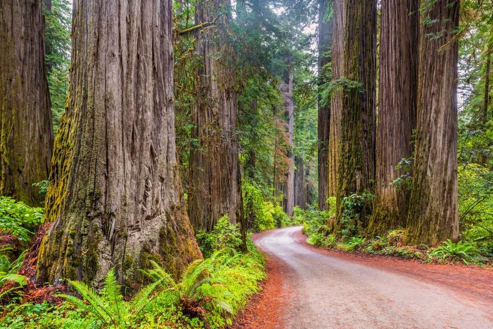 The Best States for National Park Trips