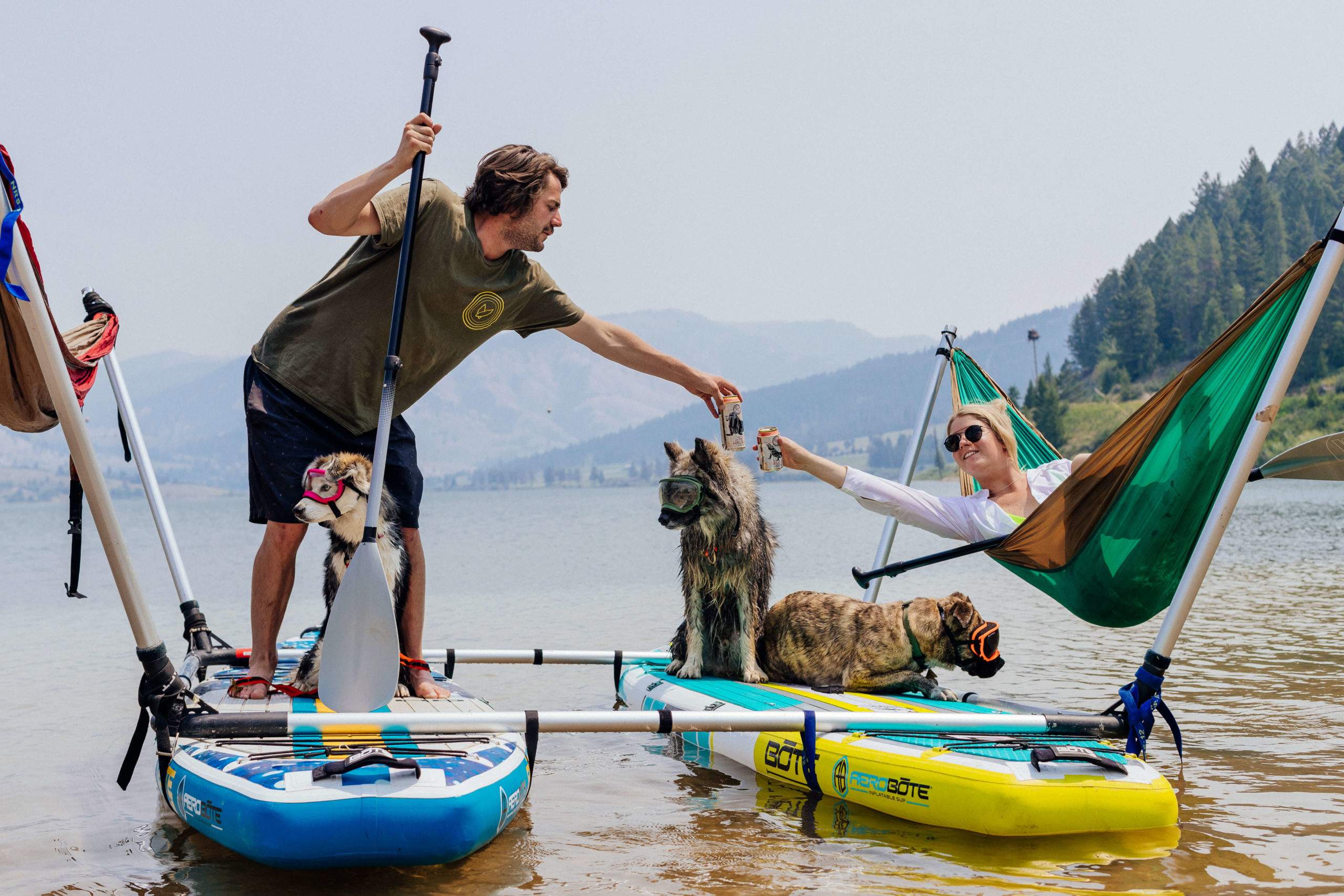 5 expert tips for traveling with dogs
