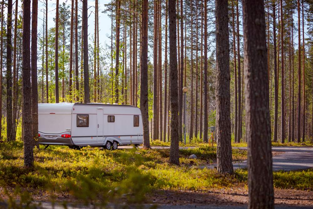 Most popular national forests for RVs