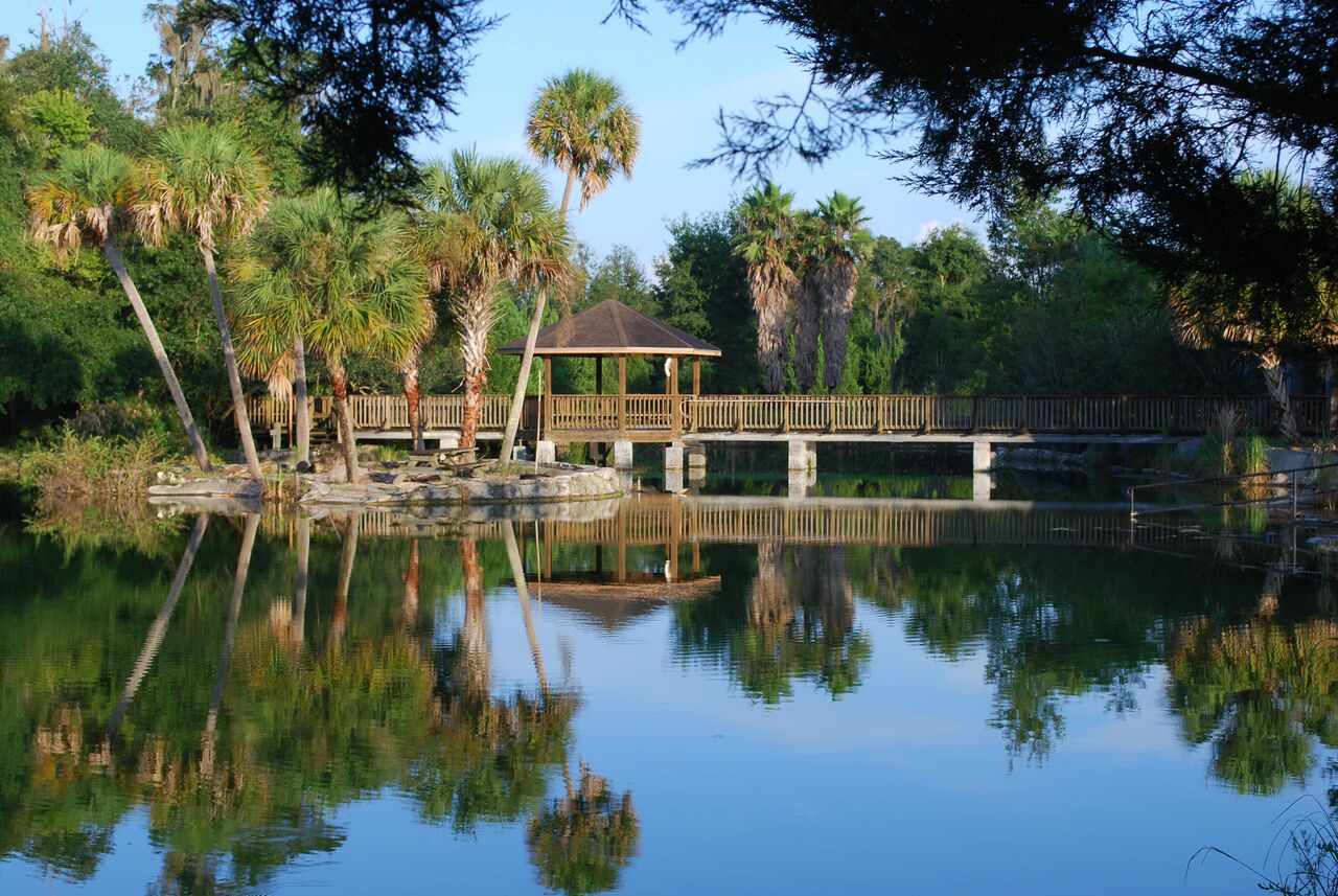 Your guide to exploring Devil’s Den Florida this summer
