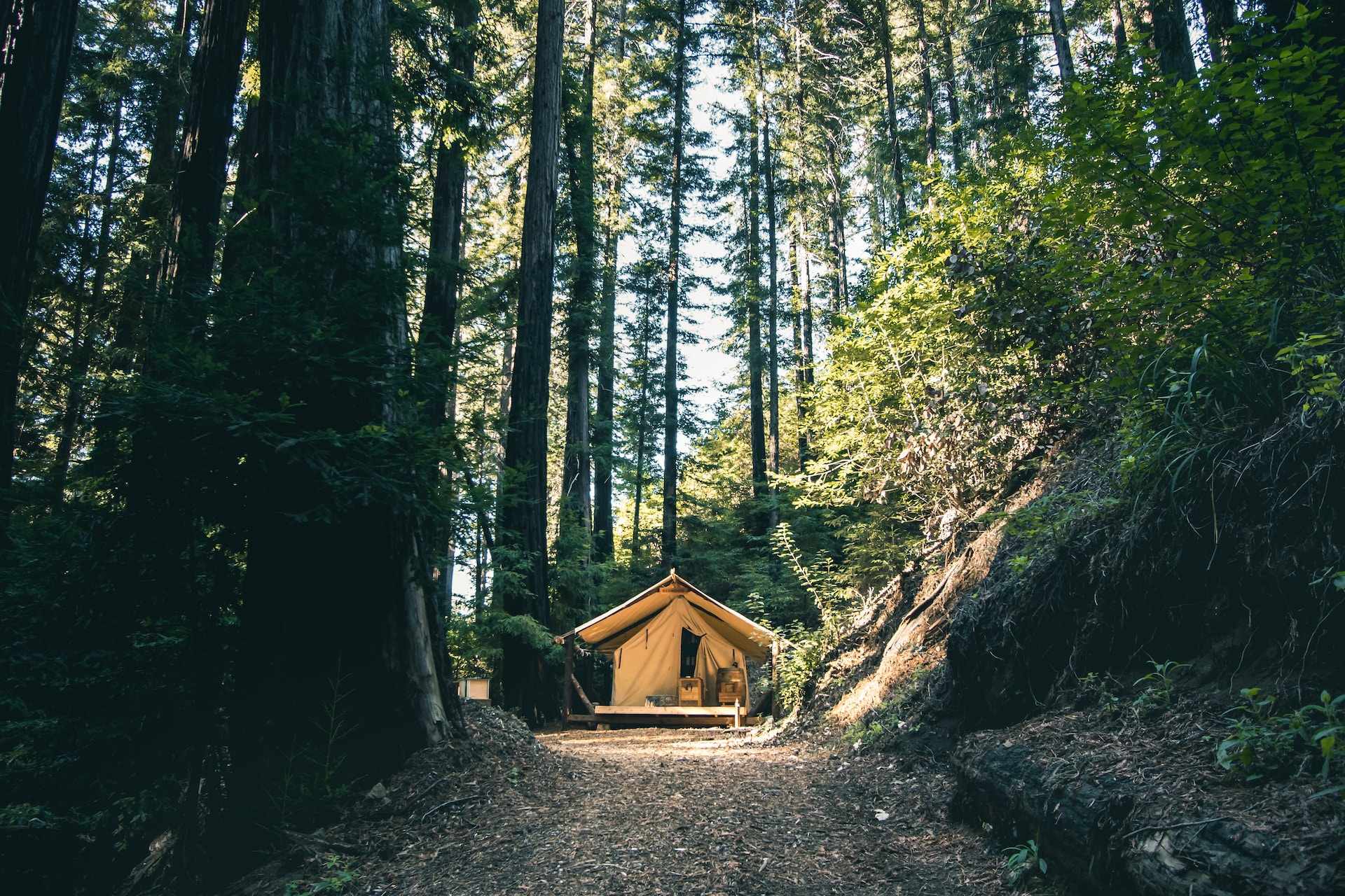 Outdoorsy&#8217;s Guide to Glamping