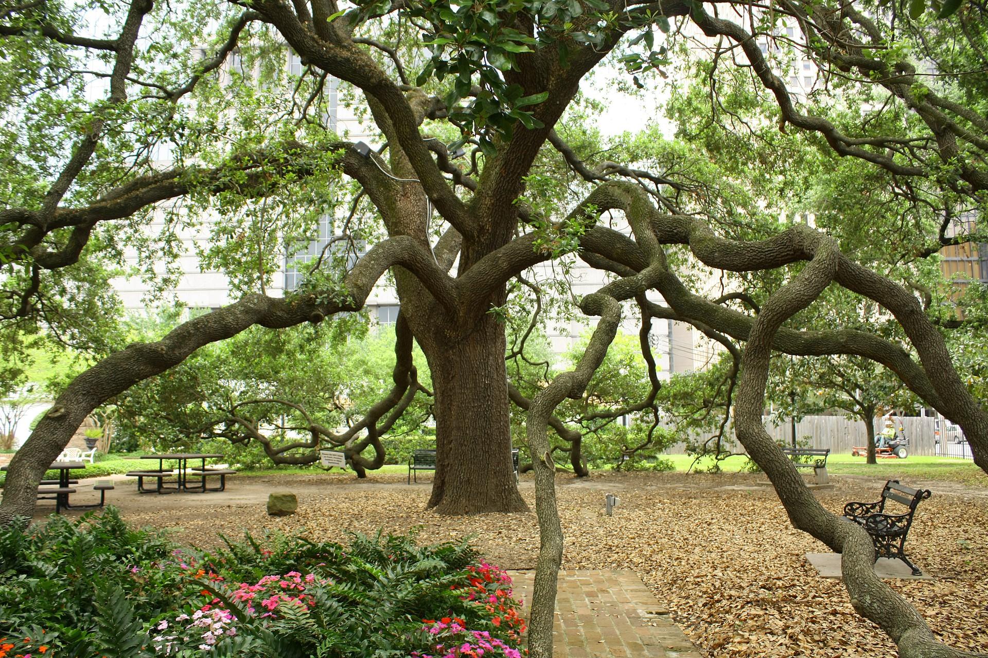 Top RV Parks & Campgrounds near Houston, TX