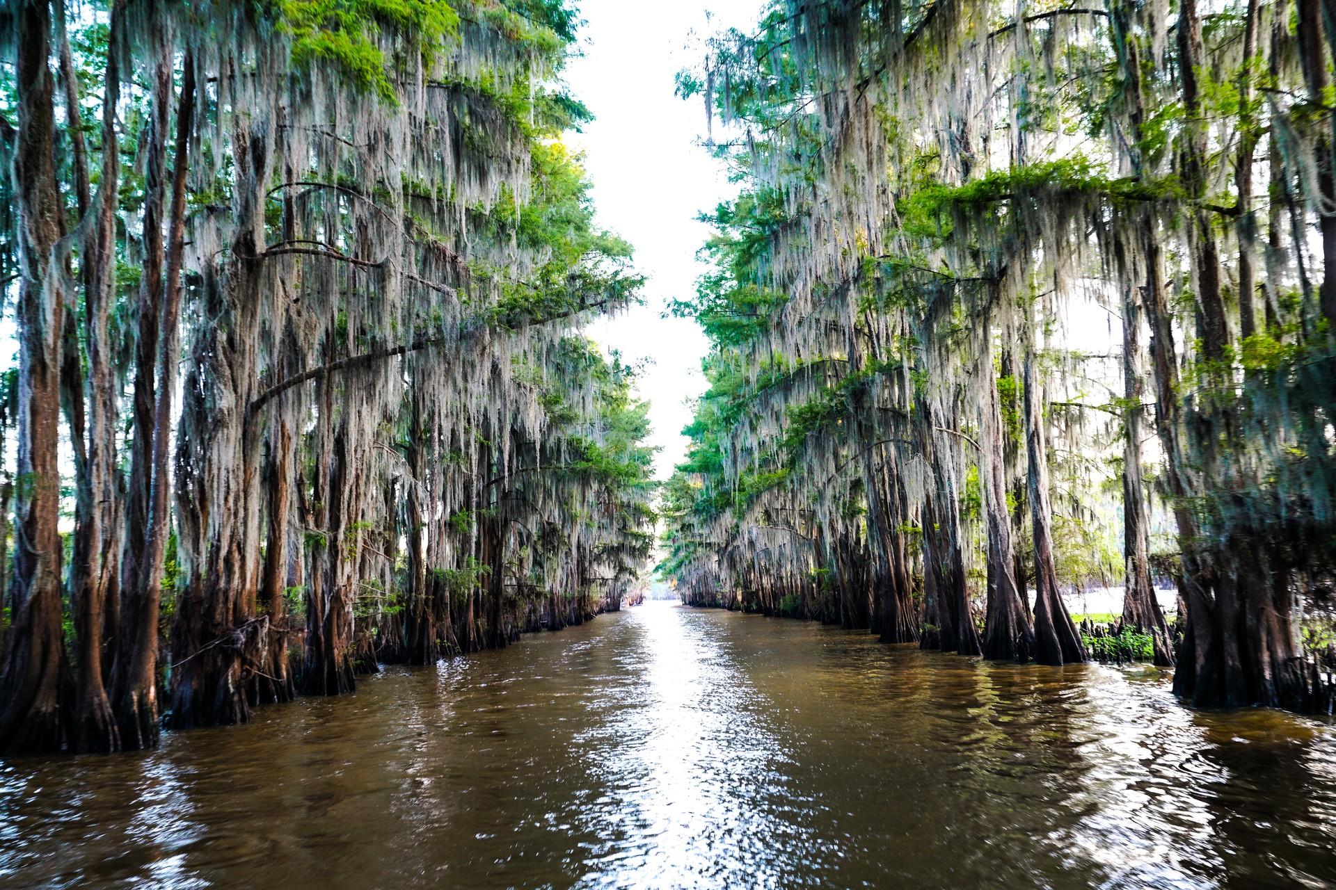 Top RV Parks & Campgrounds in Louisiana