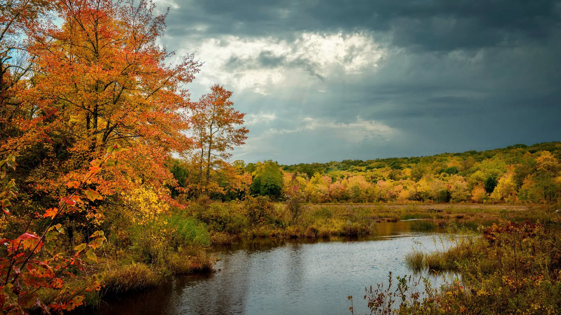 Top RV Parks & Campgrounds in New Jersey