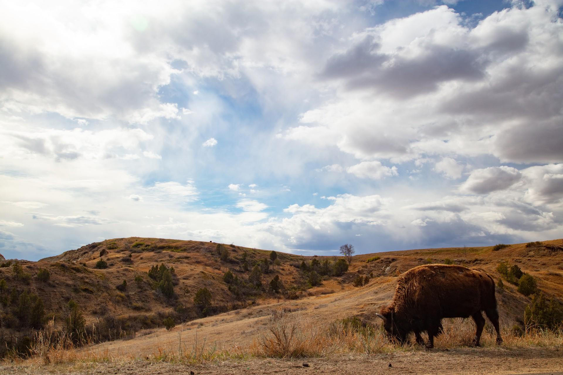 Top RV Parks & Campgrounds in North Dakota
