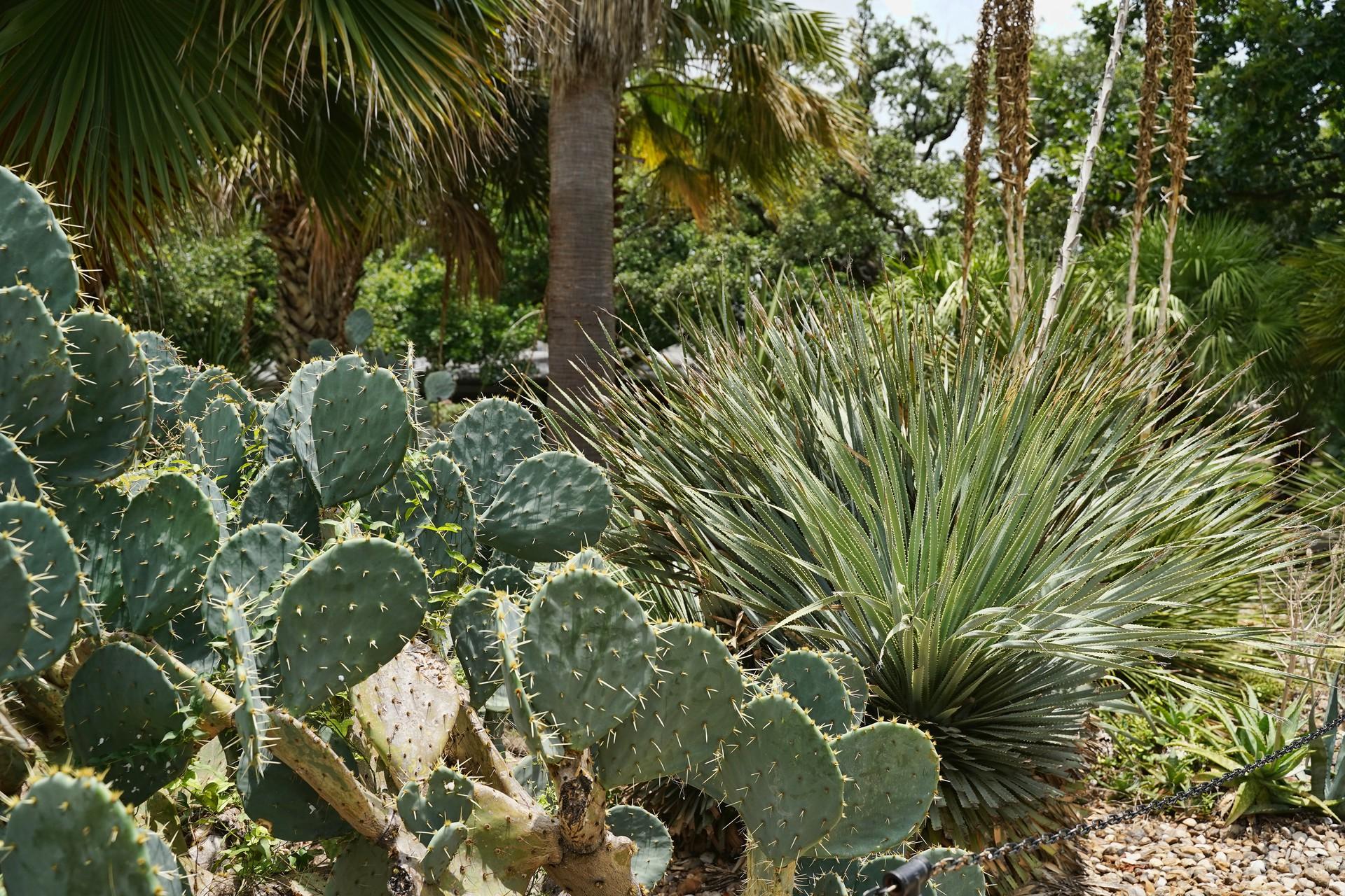 RV Parks & Campgrounds near San Antonio, TX
