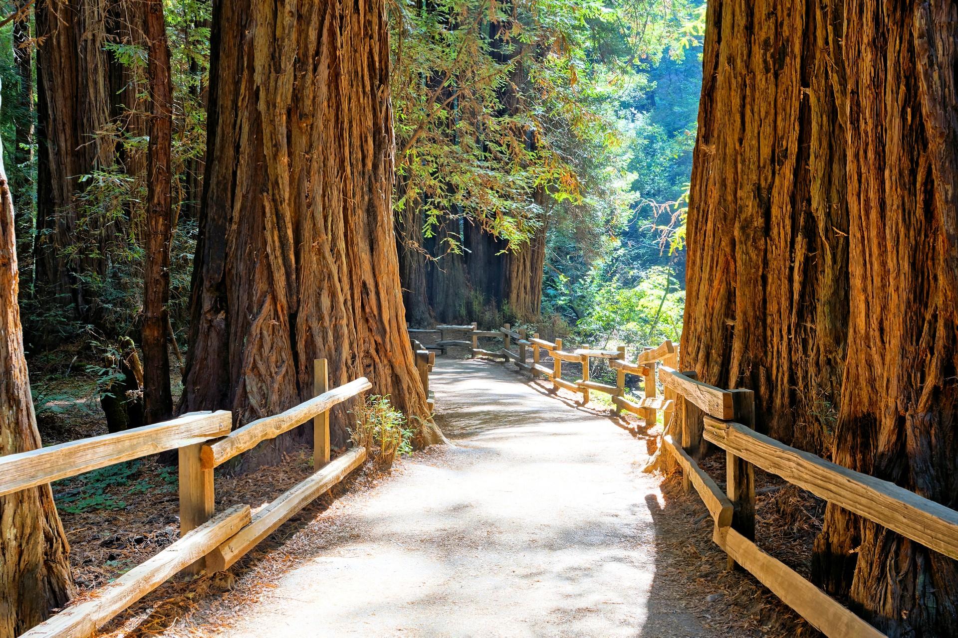 Top RV Parks & Campgrounds near San Francisco, CA