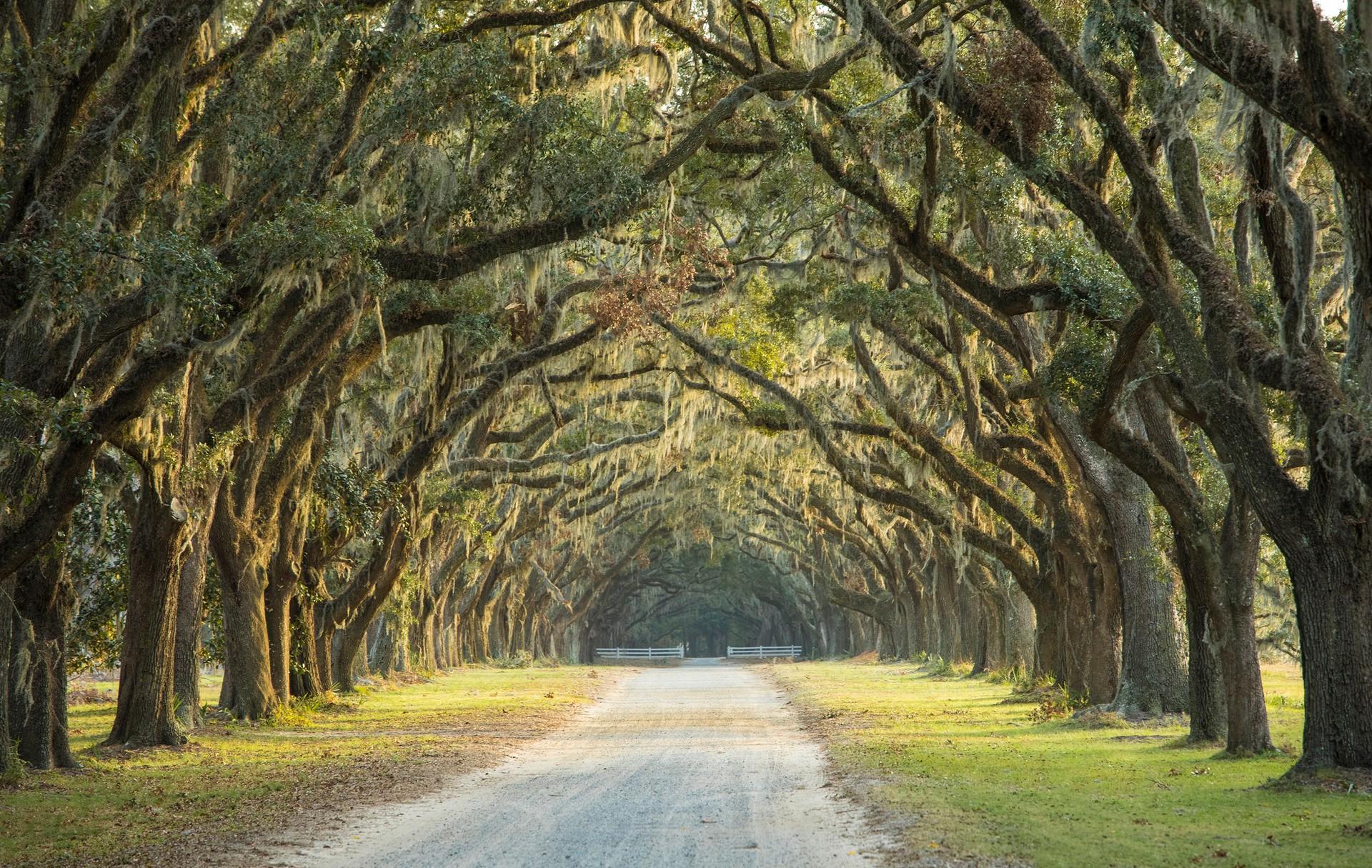 RV Parks & Campgrounds near Savannah, GA