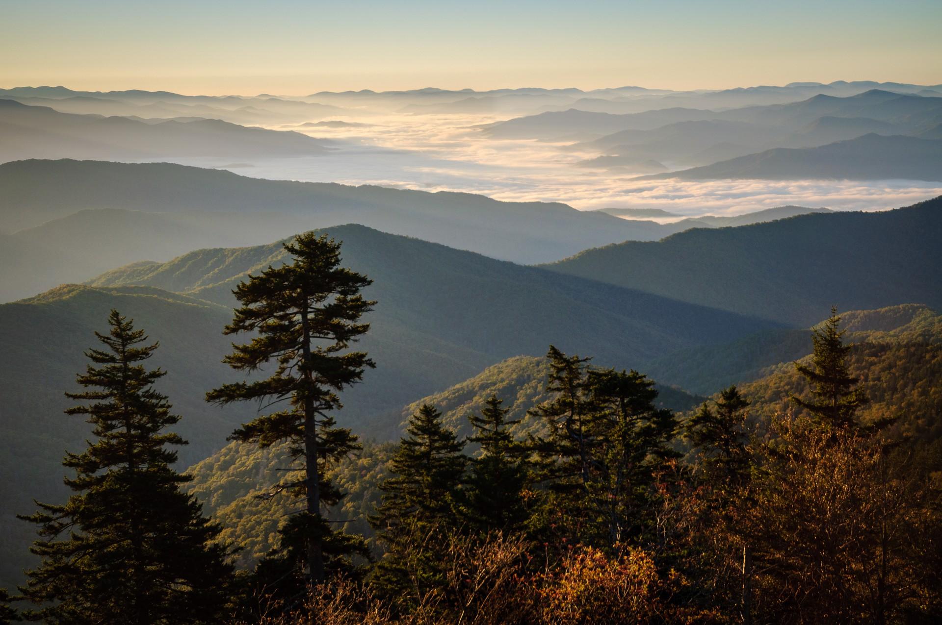Top RV Parks & Campgrounds in Tennessee