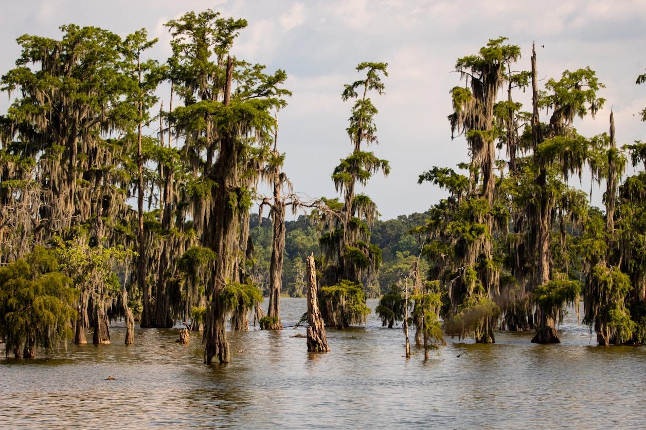 RV Parks & Campgrounds near DeRidder, LA