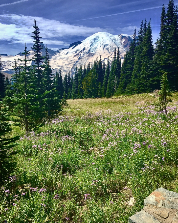 one day in mt rainier national park