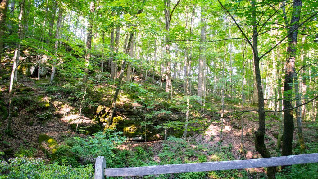Visiting Mammoth Cave National Park | Outdoorsy