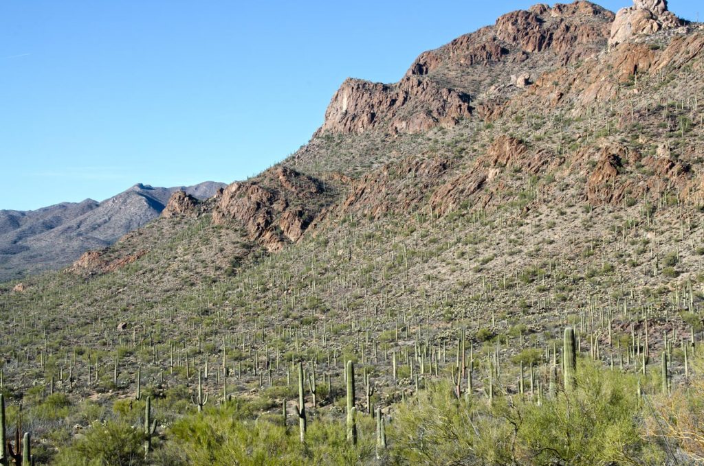Photo Tripping America - Weekend Getaway to Tucson - Outdoorsy