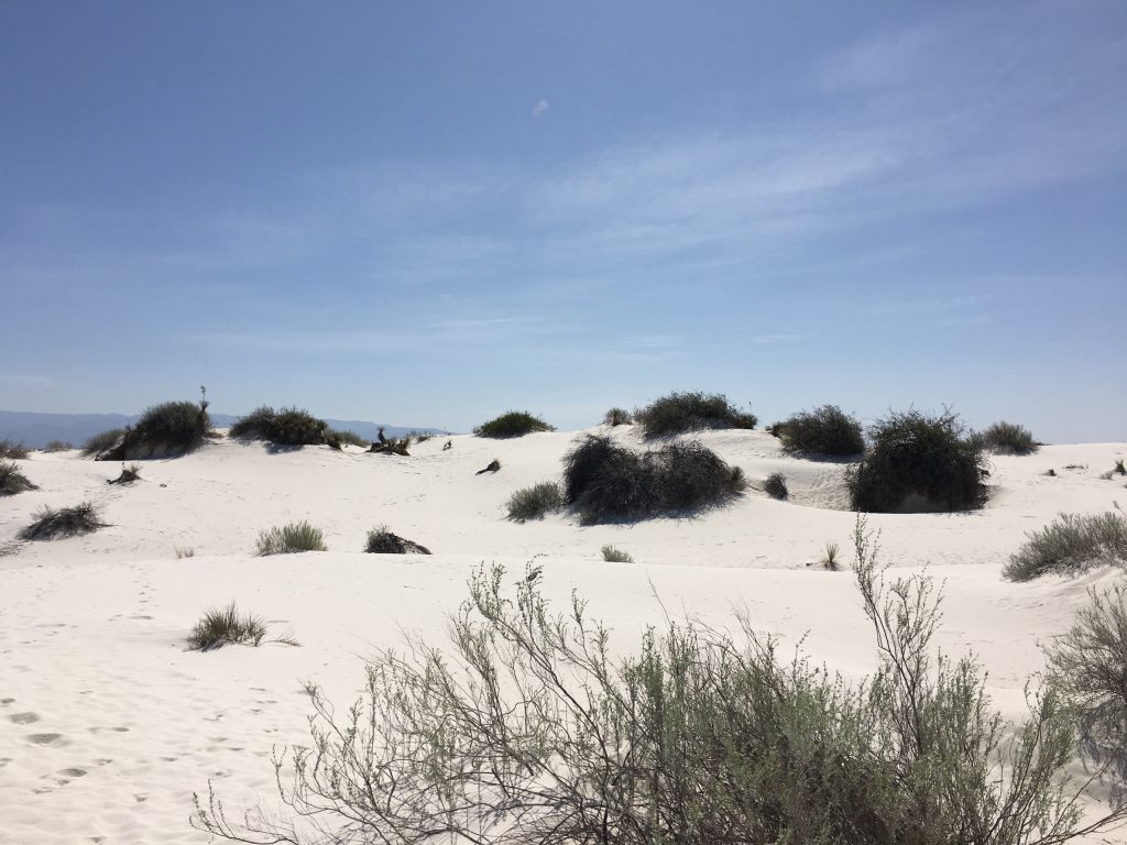 White Sands National Monument, Alamogordo, New Mexico | Outdoorsy RV Rental Marketplace