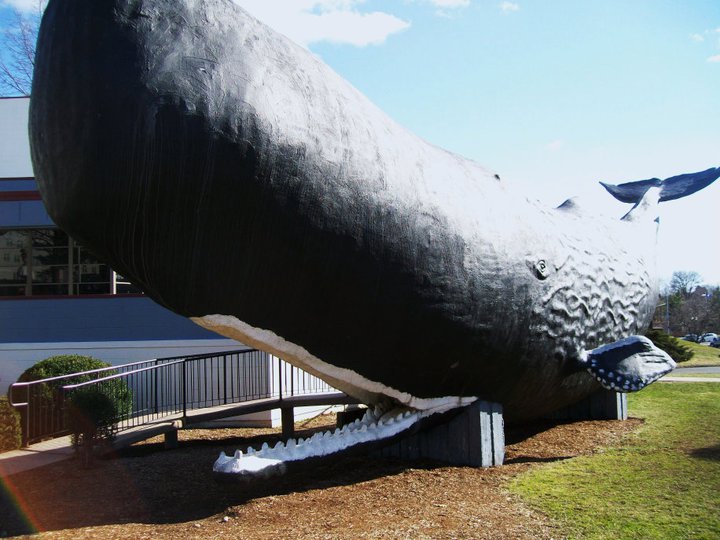 31 Weird Pit Stop Attractions In The U.S | Outdoorsy