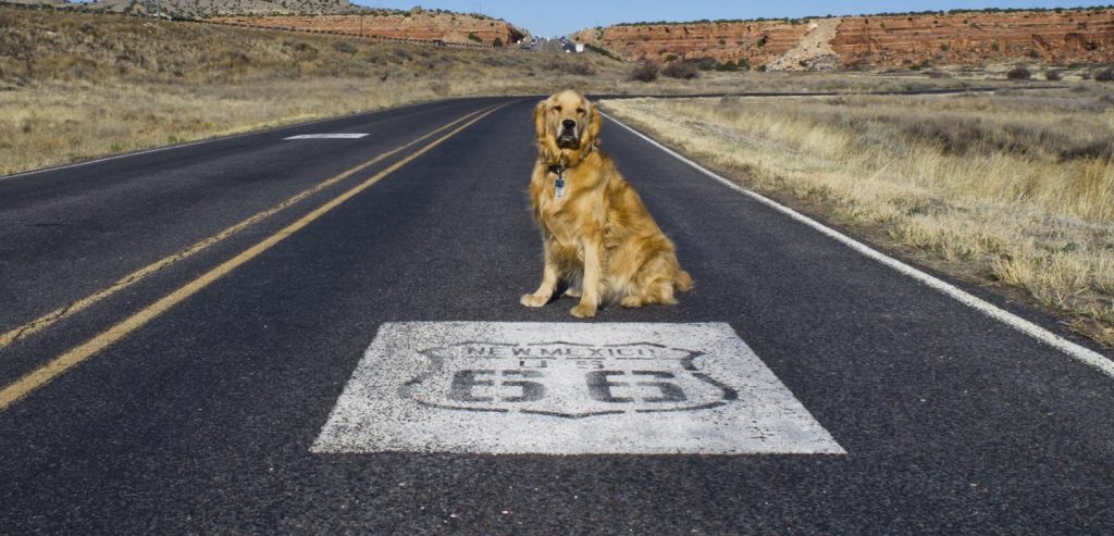 Photo Tripping America - Best RV Parks for Dogs - Outdoorsy