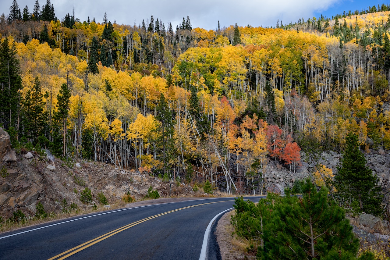 fall foliage at Rocky Mountain National Park in Colorado