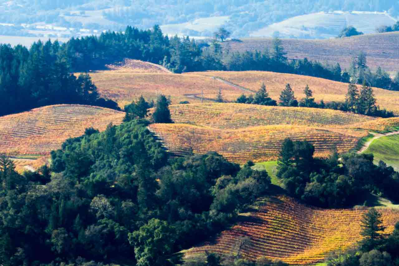 California wine country in the fall.