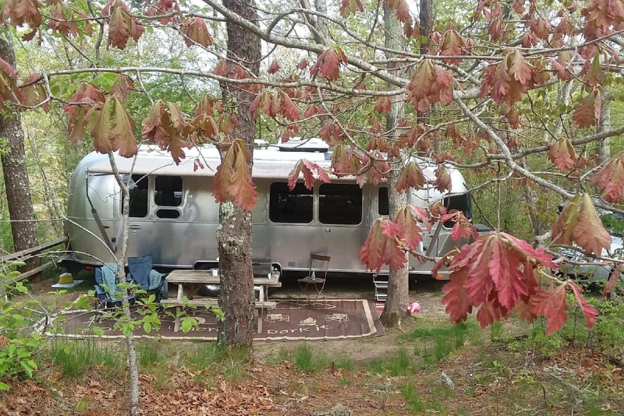 Airstream trailer in a wooded spot