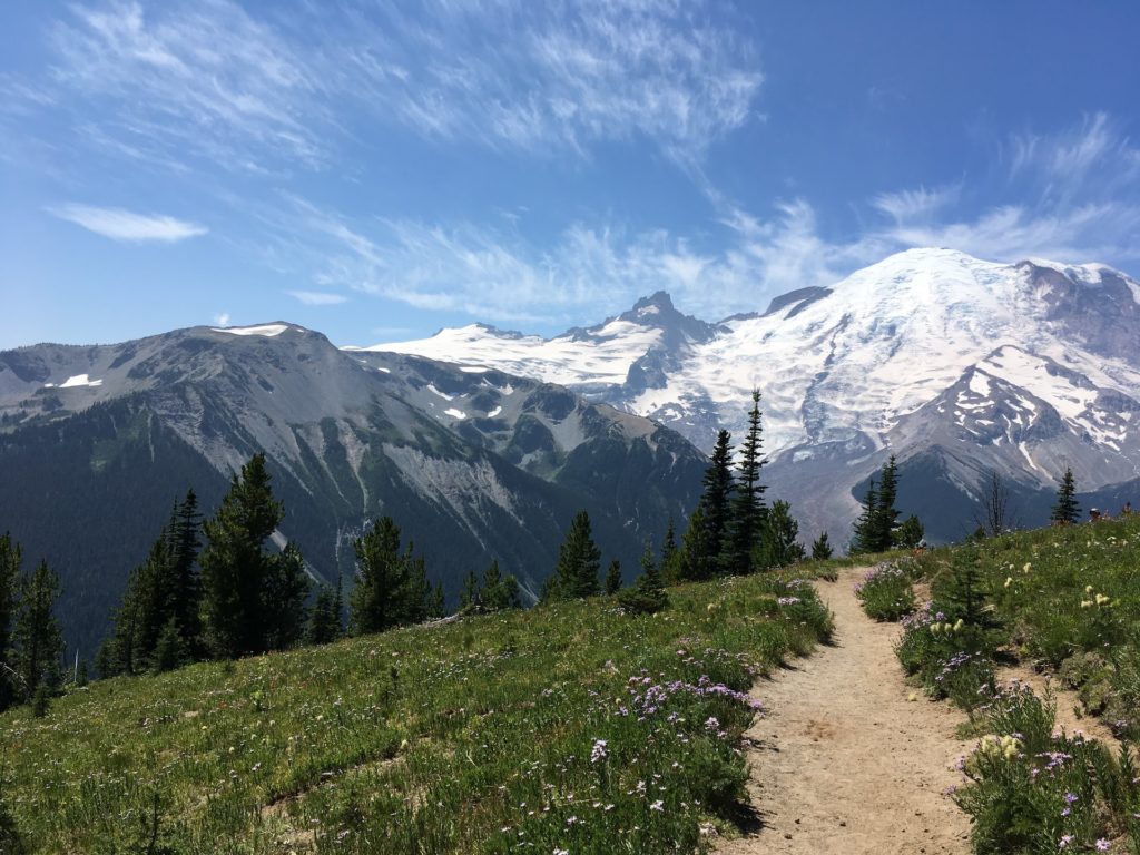 Mt. Rainier, National Park, Washington